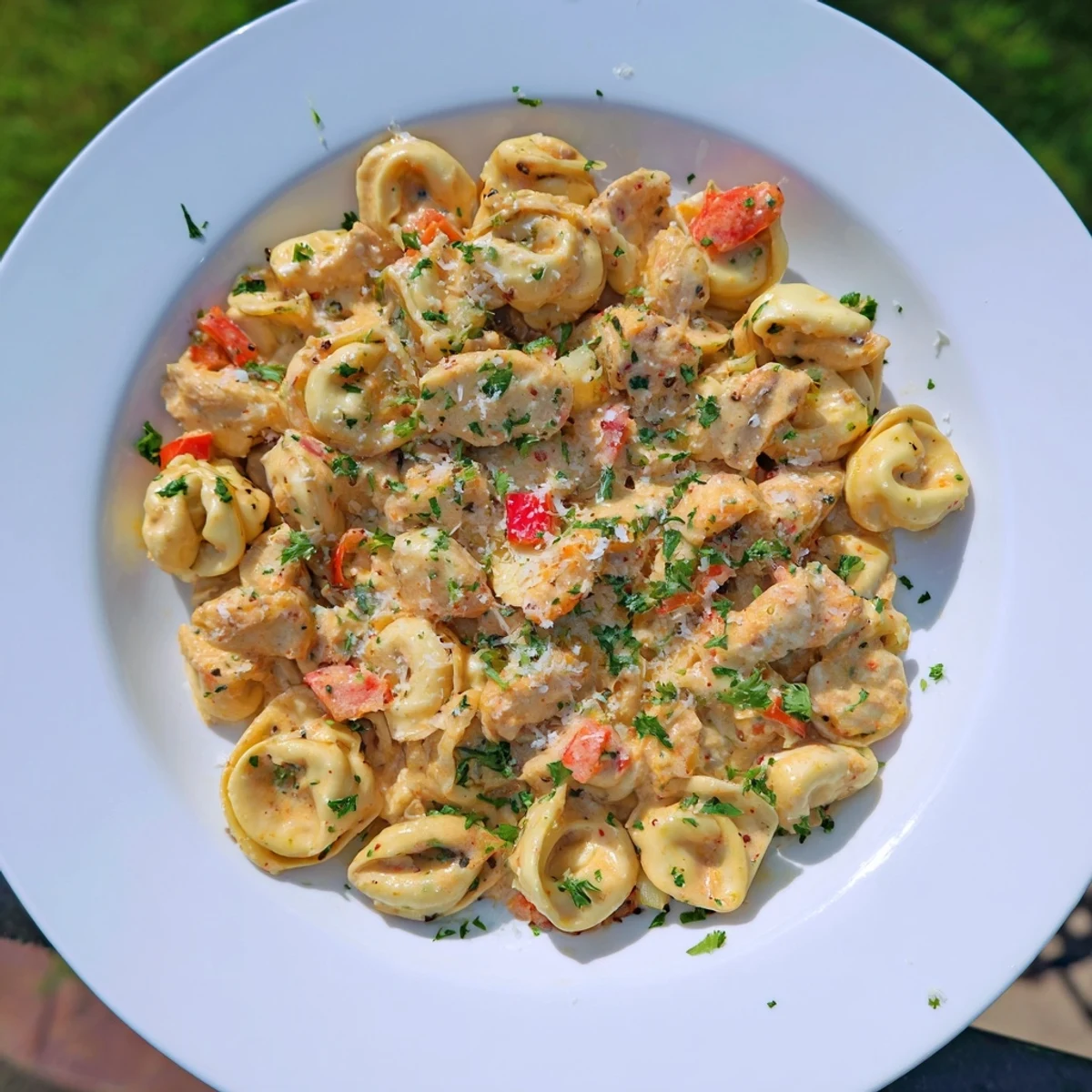 Golden, tender pieces of chicken rest in Zesty Cajun Garlic Parmesan Chicken Tortellini with a creamy, cheesy sauce.